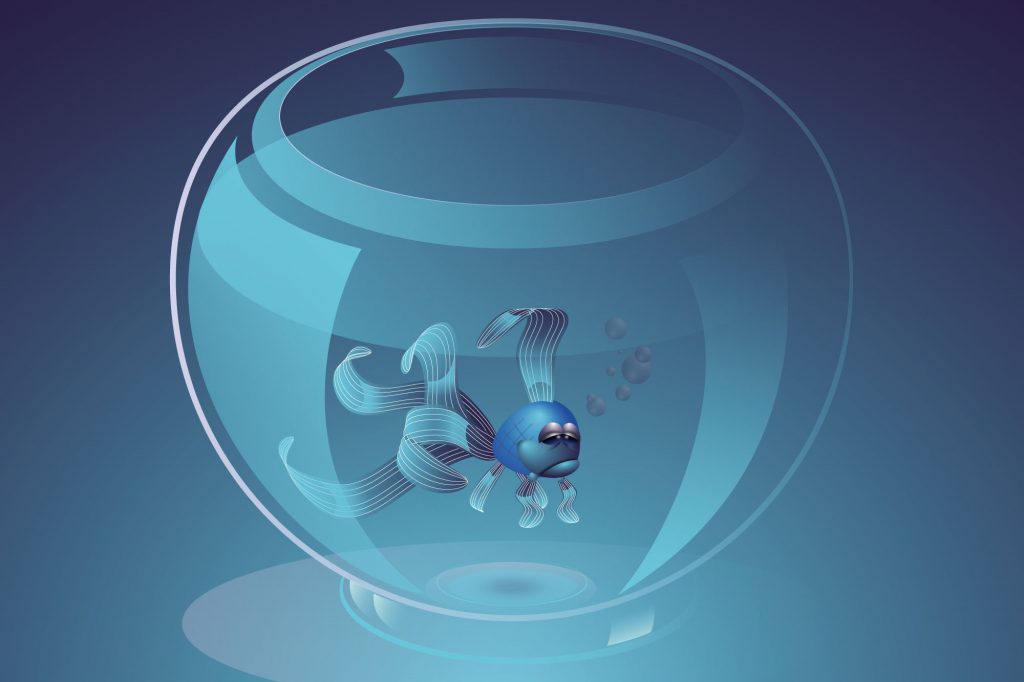 Illustrator